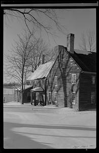 Shadless trees and house