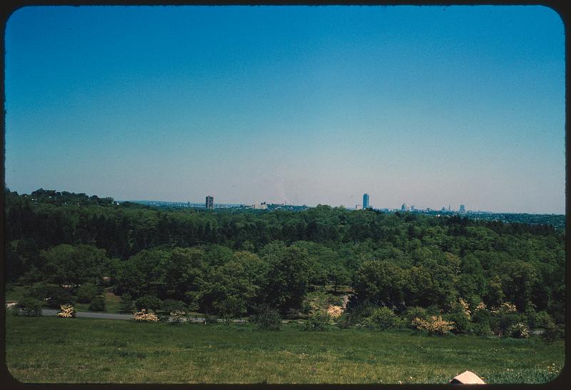 View of Boston skyline from Arnold Arboretum, Boston