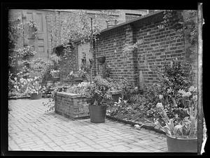 Plants outside brick building