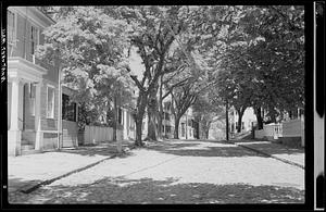 Tree-lined street, Nantucket