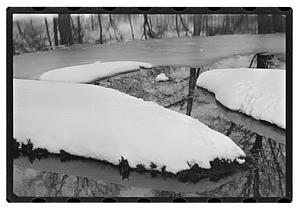 Snow pictures - Fenway