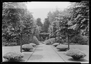 Path west through stone arch from west pergola in Mrs. Auchincloss' garden