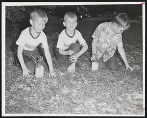 Bottles of Hailstones being gathered from an Auburndale lawn by David, William and James Sullivan (left to right), who found they could fill their milk bottles easily while staying in one spot.