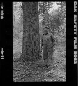 Ed Bartlett Salisbury and trees