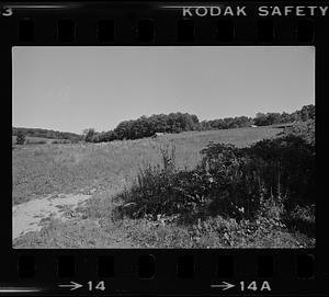 Elwell family's Maple Crest Farm