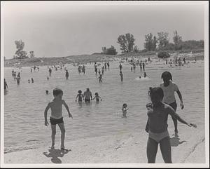 Field trip to the beach