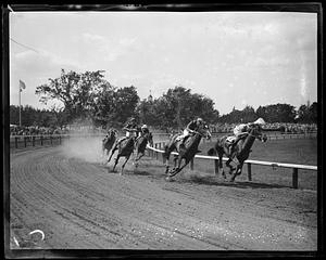 Horse race, Raceland