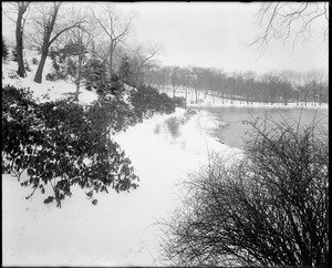 Ward's Pond in snow