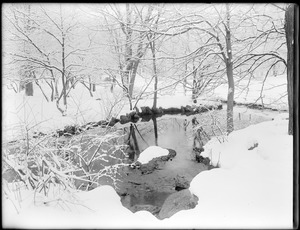 Neck of brook at Willow Spring Pond