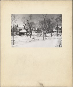 Cottages on Grove Street and Eastman Circle, c. 1960