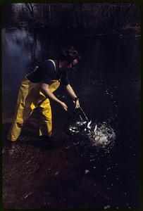 Stocking Pacific Coast "Coho" Salmon