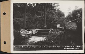 Beaver Brook at weir below Pepper's mill pond dam, Ware, Mass., 8:30 AM, Jun. 18, 1936