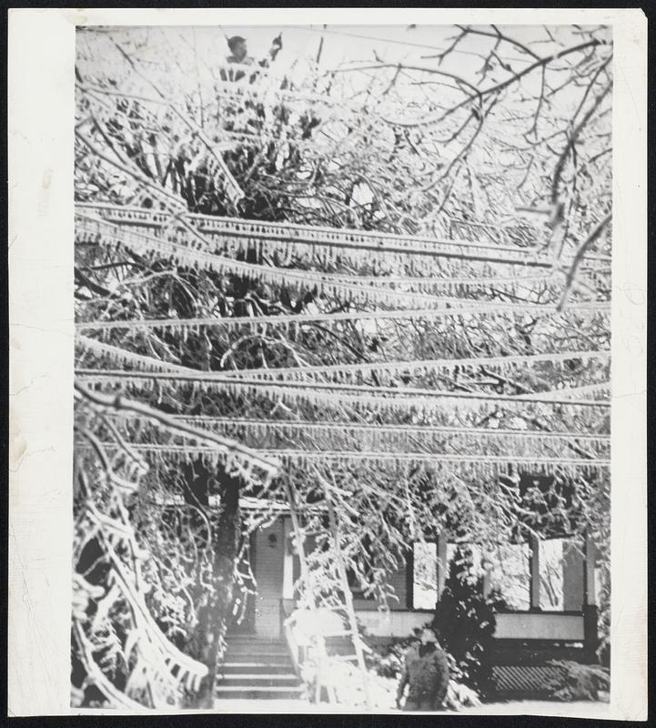 Pennsylvania Linemen Battle Storm-An employe of the Metropolitan Edison in Reading, Pa., is nearly obscured by ice covered trees and wires as he struggles to clear the lines near Reading, Pa. Fellow lineman looks on from the ground.