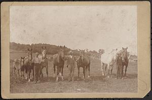 George Dickinson with his horses