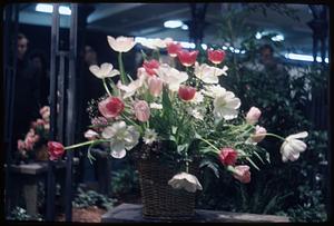 Flower arrangement