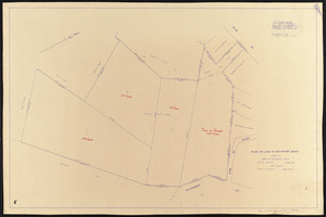 Plan of land in Rockport, Mass., owned by Town of Rockport, Mass.