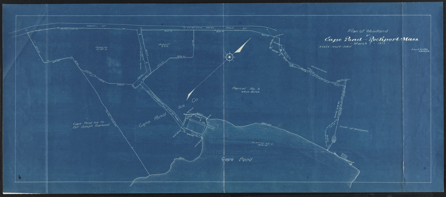 Plan of woodland at Cape Pond, Rockport, Mass.