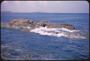 Rock at Nantasket