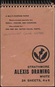"Guadalupe Color Notes" (c. 1964)