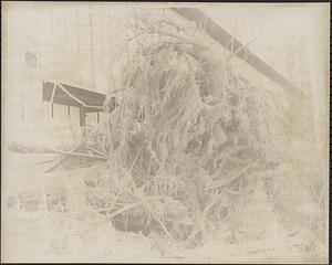 Flood damage at Clark-Aiken