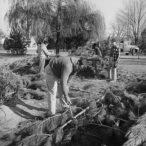 Common Park Christmas display, New Bedford