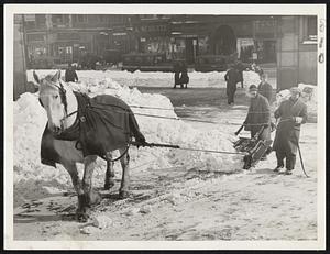 A horse and plow were used by city workers to widen the paths on Boston Common today.