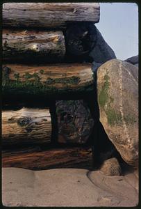 Stacked logs by rocks