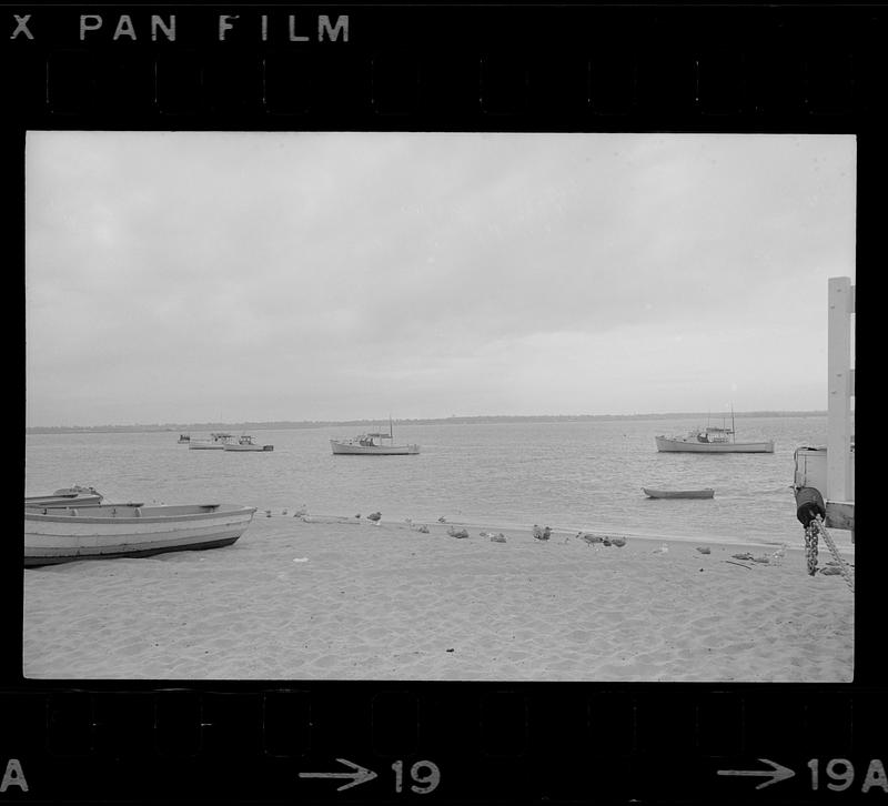 Plum Island fishing boats