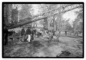 Tree removal