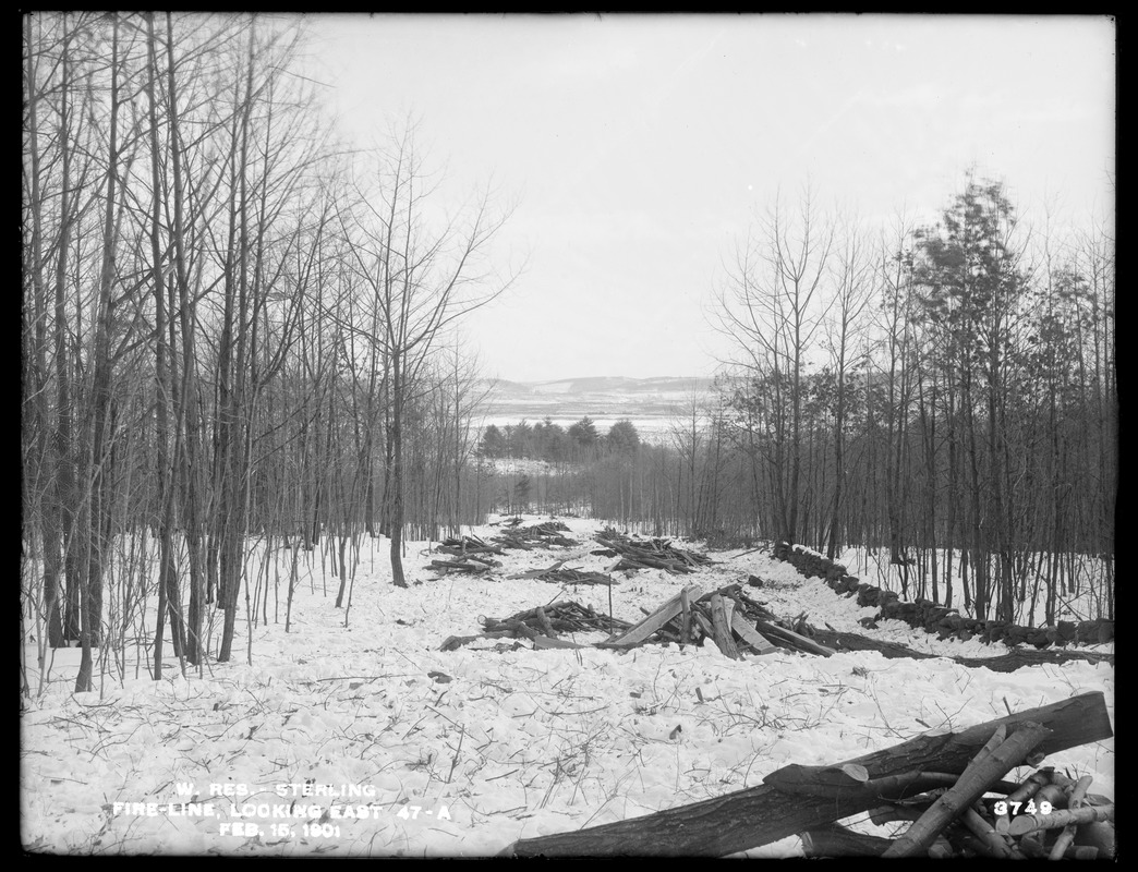 Wachusett Reservoir, looking east along the fire line 47A, Sterling, Mass., Feb. 15, 1901