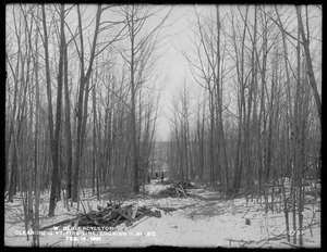 Wachusett Reservoir, clearing the 15-foot fire line 91BC, looking north, Boylston, Mass., Feb. 15, 1901