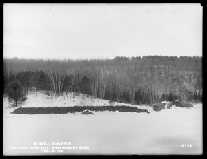 Wachusett Reservoir, 52-cord woodpile off the Shrewsbury Road, Boylston, Mass., Feb. 15, 1901