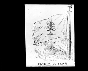 Pine tree flag 1776