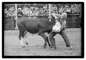 Brockton Fair