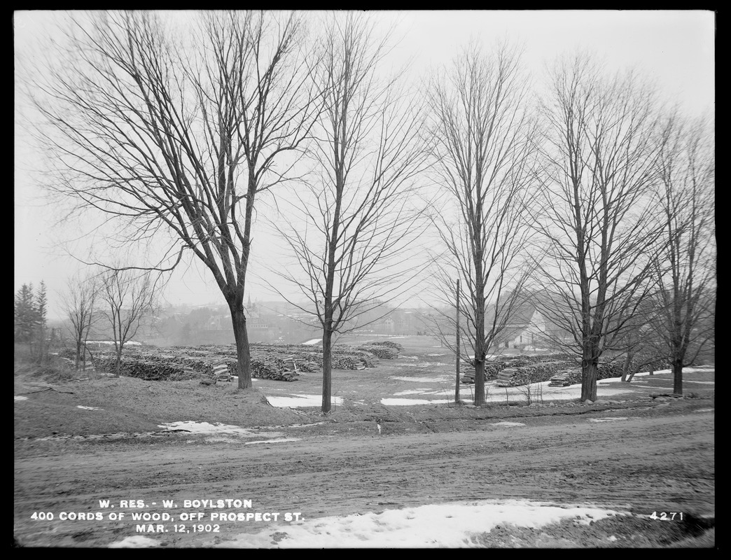 Wachusett Reservoir, 400 cords of wood, off Prospect Street, West Boylston, Mass., Mar. 12, 1902