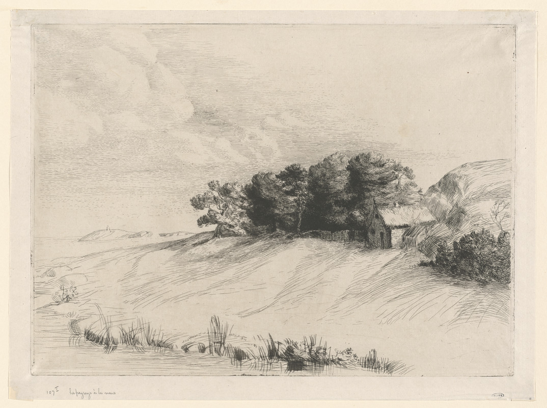 Le paysage à la mare