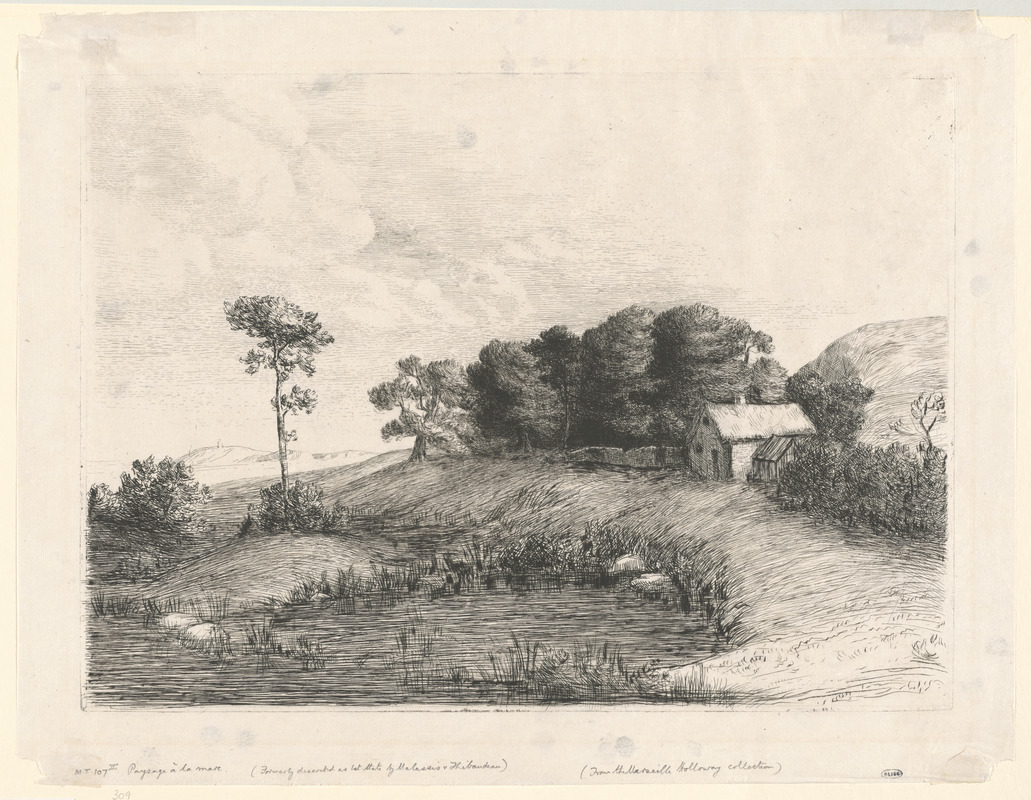 Le paysage à la mare
