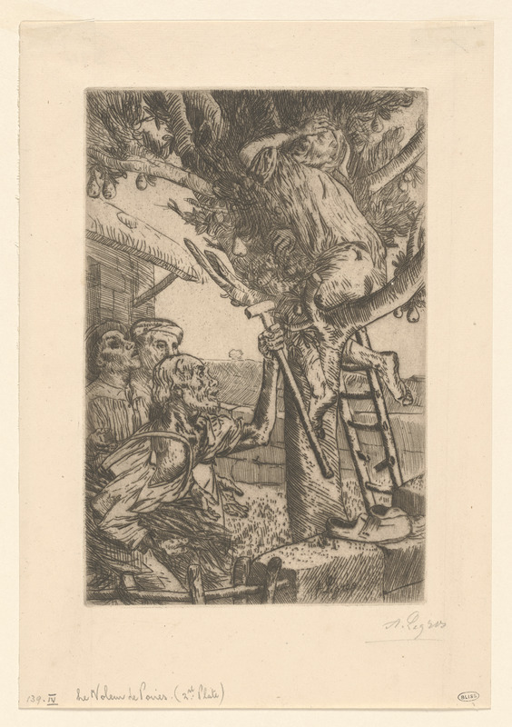 Le voleur de poires (2nd plate)