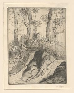 Souvenir de Jura: La chute d'eau