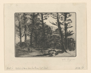 Soleil d'hiver dans les bois (2nd plate)