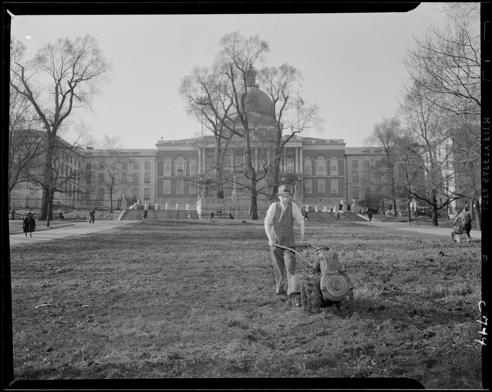 Victory garden