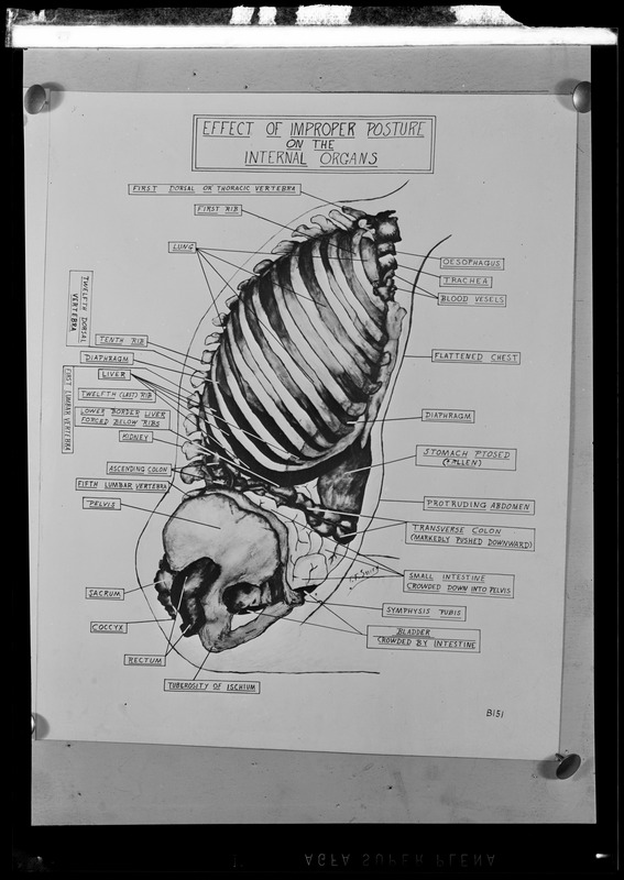 Do/More Chairs advertisement,, diagram showing "Effect of improper posture on the internal organs"