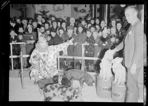 Filene's Toy Dept. Christmas, children watch clown with pigs and dogs
