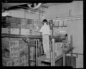 Man working in Moxie bottling plant