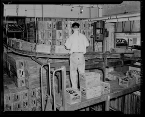 Man working in Moxie bottling plant