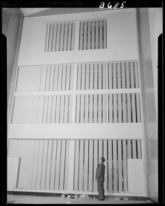 New organ