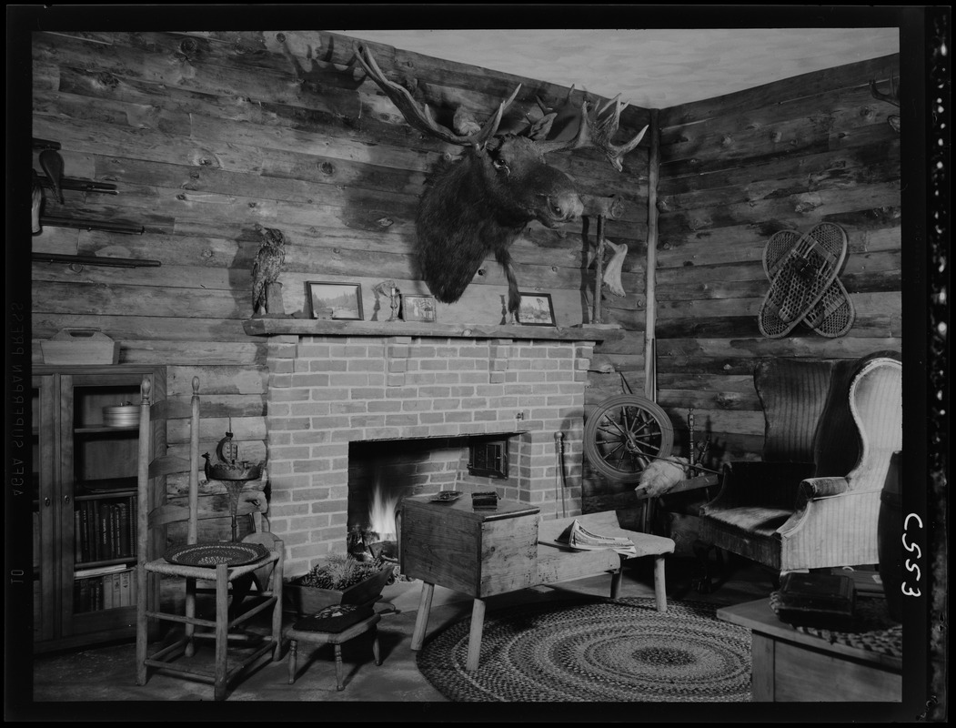 Mr. Fitt's basement lounge