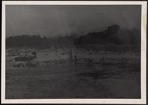 Children at the beach