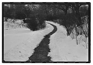 Snow pictures - Fenway