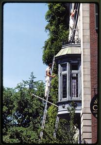 Boston 1984: a painter works on a Beacon Hill building